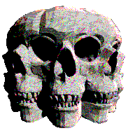 Spinning Skull